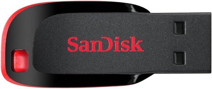 Soporte de Almacenamiento Físico (Pendrive o Disco Duro) - Imagen 4
